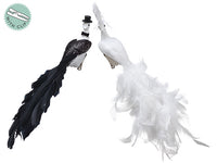 11" Feather/Glitter Bridal Peacock With Lace on Clip & Hanger (2 Styles/Assortment) A (pack of 24)