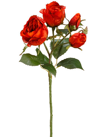 16.5" English Rose Spray  Brick (pack of 12)