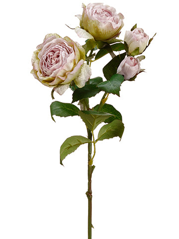 15.5" Cabbage Rose Spray  Lilic Green (pack of 12)