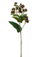 22.5" Hyperium Spray  Plum (pack of 12)