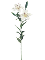 24" Mini Tiger Lily Spray x2 w/2 Buds White (pack of 12)