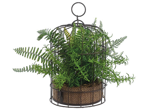 12" Mixed Fern Plant w/Burlap in Birdcage Two Tone Green (pack of 4)