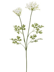 29" Queen Ann's Lace Spray  White (pack of 12)