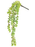 19" Donkey Tail Vine  Green (pack of 4)