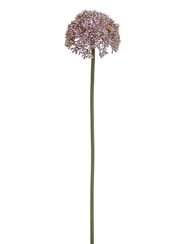 21" Allium Spray  Lavender (pack of 12)