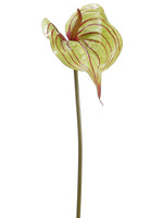 25" Anthurium Spray  Green Burgundy (pack of 6)