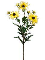31" Shasta Daisy Spray x3 w/Printed Lvs. Yellow (pack of 6)