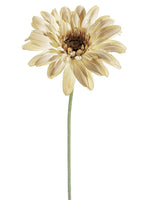 27"gerbera Daisy Spray  Cream (pack of 6)