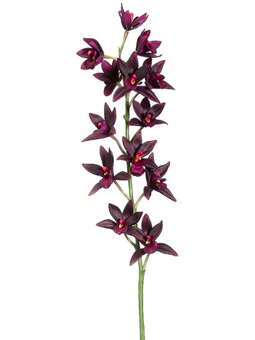 38" Cymbidium Orchid Spray  Plum (pack of 4)