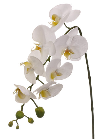 28.5" Phalaenopsis Orchid Spray White (pack of 12)