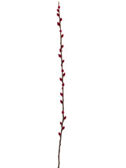 39" Small Pussy Willow Spray  Beauty (pack of 6)