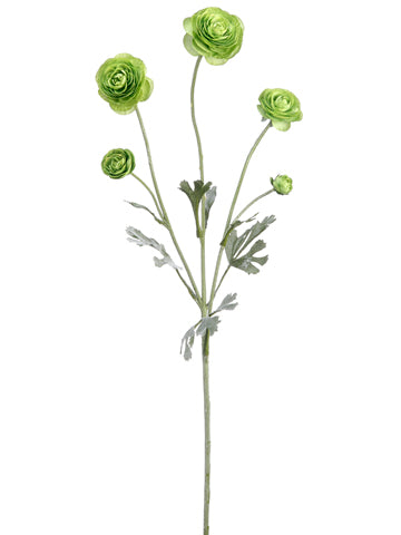 28" Ranunculus Spray  Green (pack of 6)