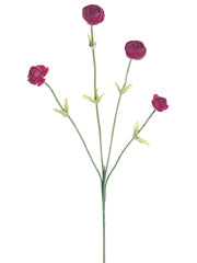 20" Wild Buttercup Spray  Beauty (pack of 1)
