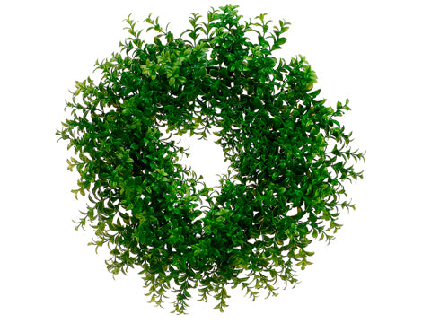 18" Japanese Boxwood Wreath  Green (pack of 2)